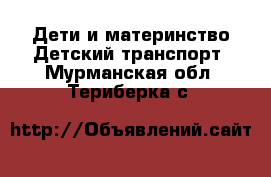 Дети и материнство Детский транспорт. Мурманская обл.,Териберка с.